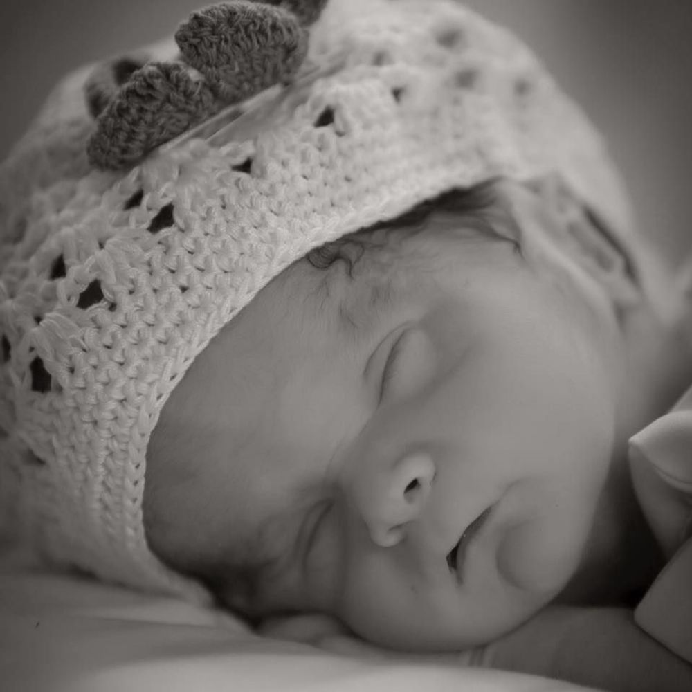 Meet your Posher, Lizvett